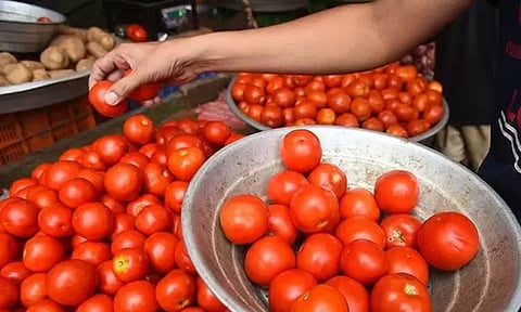 சென்னை கோயம்பேடு காய்கறி சந்தையில் இன்று தக்காளி விலை ரூ.5 குறைவு..!