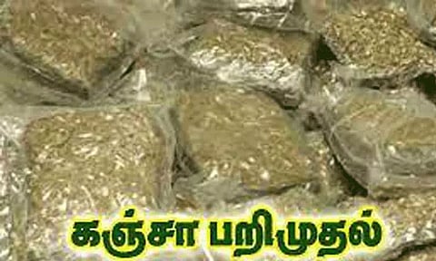 இலங்கைக்கு கடத்த முயன்ற 423 கிலோ கஞ்சா; ராமநாதபுரத்தில் பறிமுதல்