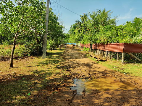 சேறும், சகதியுமாக காணப்படும் சாலை