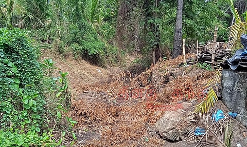 ஆண்டி வாய்க்காலில் தண்ணீர் திறக்காததால் விவசாயிகள் வேதனை