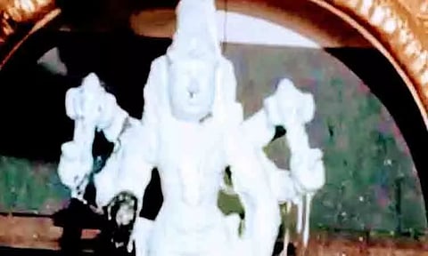 பெருமாள் சுவாமிக்கு சிறப்பு பாலாபிஷேகம்