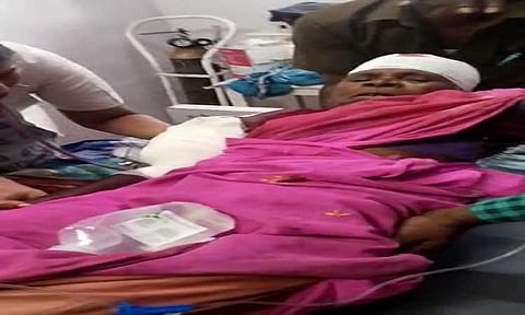 வால்பாறையில் கரடி தாக்கி பெண் படுகாயம்