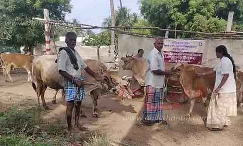 கால்நடைகளுக்கான பெரியம்மை நோய் தடுப்பூசி முகாம்