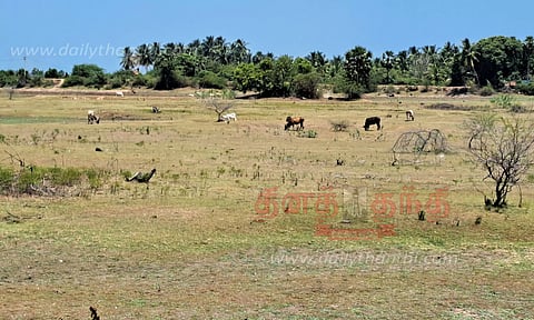 மேய்ச்சல் நிலமாக மாறி வரும் ஏரி, குளங்கள்