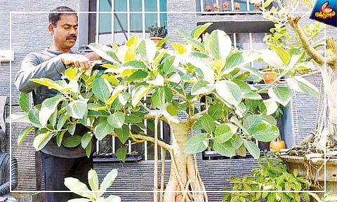 மனதை மகிழ்ச்சியாக்கும் 'இல்லற பூங்கா'