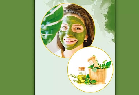 முக அழகை மேம்படுத்தும் துளசி 'பேஸ்பேக்'