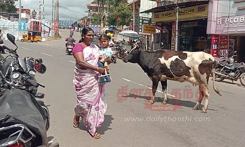 சாலைகளில் சுற்றித்திரியும் கால்நடைகளால் அச்சம்