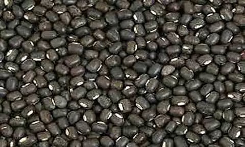 பருப்பு வகைகள் விலை உயர்வு