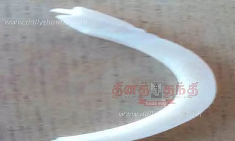 அகழாய்வில் சங்கு வளையல்கள் கண்டெடுப்பு