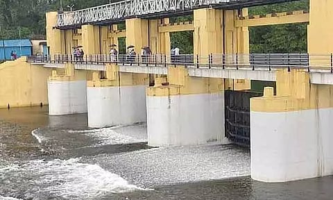 பேச்சிப்பாறை அணையின் நீர்மட்டம் 'கிடு கிடு' சரிவு