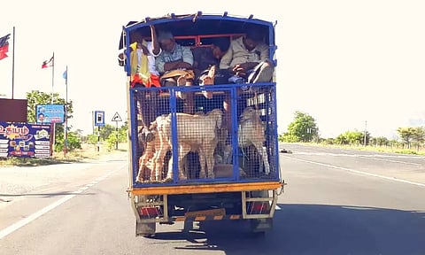 ஆபத்தான பயணம்