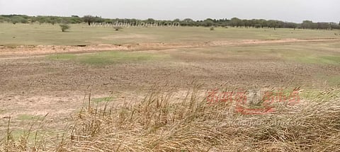 ஏரிப்பாசன விவசாயத்துக்கு தண்ணீர் திறக்க வேண்டும்