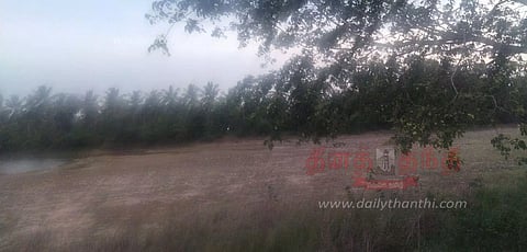 பட்டுக்கோட்டை, திருச்சிற்றம்பலம் பகுதியில் வெயிலின் தாக்கம் அதிகரிப்பு