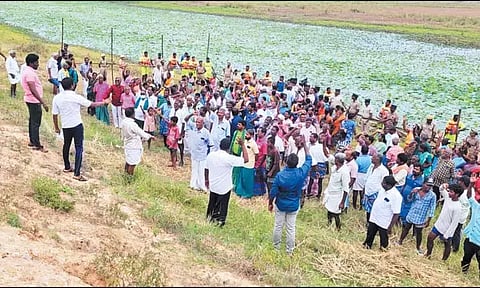 கோப்புக்காட்சி