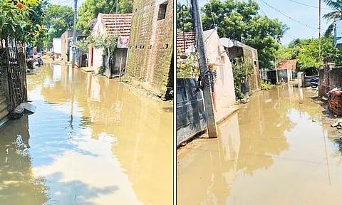 திருநின்றவூர் தெருக்களில் குளம்போல தேங்கி நிற்கும் மழைநீர்தொற்றுநோய் பரவும் அச்சத்தில் பொதுமக்கள்