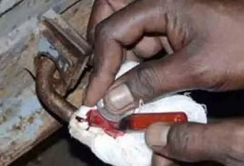 வாடகை செலுத்தாததால் கடைக்கு 'சீல்' வைப்பு