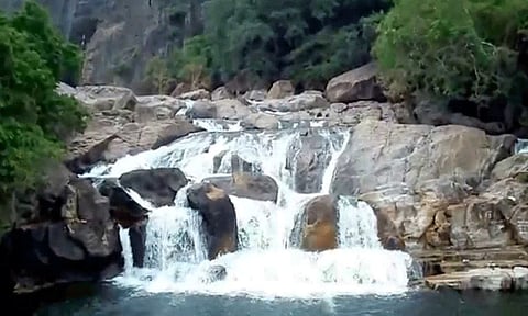 மணிமுத்தாறு அருவியில் குளிக்க சுற்றுலா பயணிகளுக்கு அனுமதி