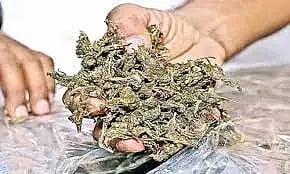 அந்தியூரில்கஞ்சா விற்றவர் கைது