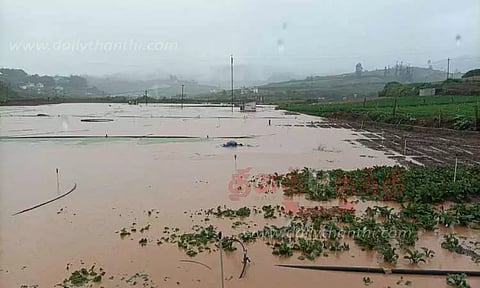 கோவில், மார்க்கெட்டில் வெள்ளம் சூழ்ந்தது