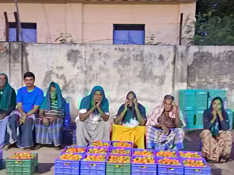 கூவிக்கூவி பார்த்தும் தக்காளி கிலோ ரூ.10-க்கு வாங்க ஆளில்லையே?