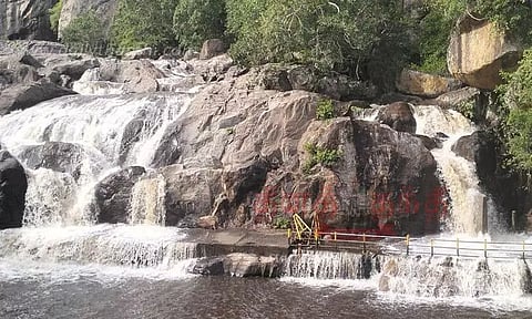 மேற்கு தொடர்ச்சி மலைப்பகுதியில் கனமழை: மணிமுத்தாறு அருவியில் வெள்ளப்பெருக்கு