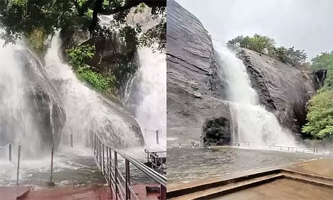 கோப்புப்படம் 