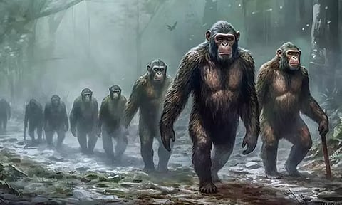 Image Courtesy:  India Today