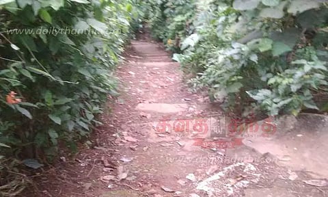 அய்யன்கொல்லி அருகே புதர்சூழ்ந்து குண்டும், குழியுமாக காணப்படும் நடைபாதை-சீரமைக்க பொதுமக்கள் கோரிக்கை