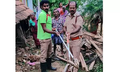 விவசாயி வீட்டுக்குள் புகுந்த பாம்பு