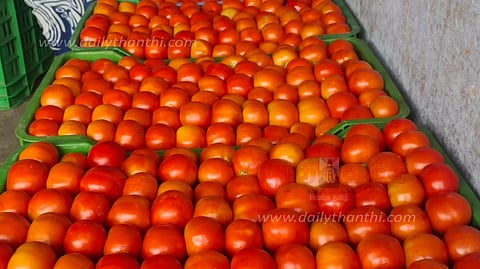 வரத்து அதிகரிப்பால்பாலக்கோடு மார்க்கெட்டில் தக்காளி விலை சரிவுகிலோ ரூ.6-க்கு விற்பனை