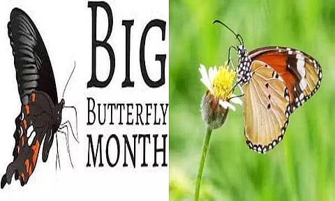 பெரிய பட்டாம்பூச்சி மாதத்தையொட்டி செம்மொழி பூங்காவில் இன்று பட்டாம்பூச்சி கணக்கெடுக்கும் பணி