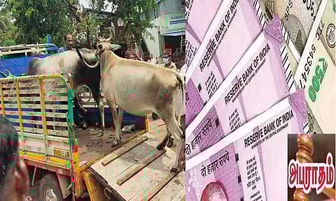 காஞ்சீபுரம் மாநகராட்சியில் சாலையில் சுற்றித்திரிந்த கால்நடைகளின் உரிமையாளர்களுக்கு அபராதம்