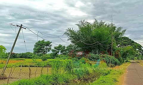 ஆபத்தான நிலையில் மின்கம்பங்கள்