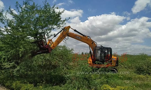 4 ஏரிகளில் சீமைக்கருவேல மரங்களை அகற்றும் பணி தொடக்கம்