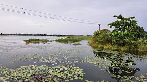 பெருந்தோட்டம் ஏரியை முழுமையாக தூர்வார வேண்டும்