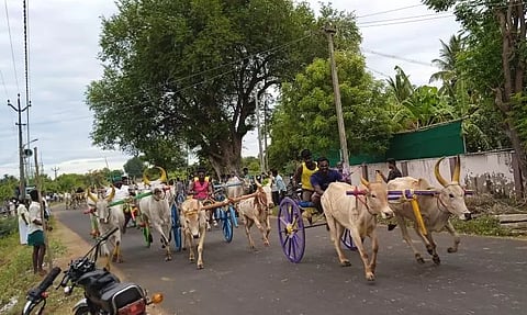 மாட்டு வண்டி எல்கை பந்தயம்