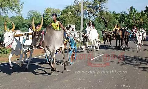 கோவில் திருவிழாவையொட்டி மாட்டு வண்டி பந்தயம்