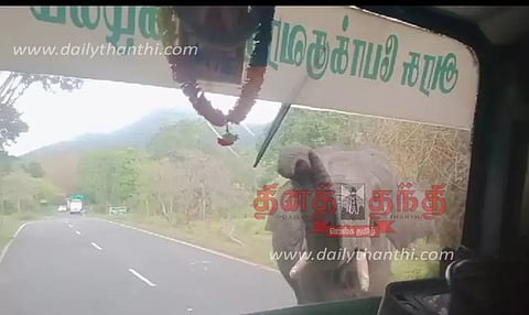 ஆசனூர் அருகே அரசு பஸ்சை வழிமறித்து கரும்பை தேடிய காட்டு யானை