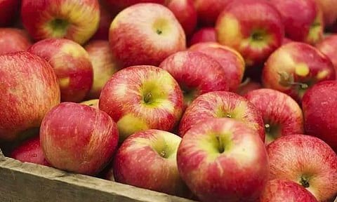 அமெரிக்க ஆப்பிளுக்கு கூடுதல் வரி வாபஸ்: மத்திய அரசு நடவடிக்கைக்கு காங்கிரஸ் எதிர்ப்பு