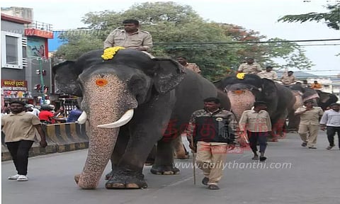 அபிமன்யு யானைக்கு நாளை முதல் பாரம் சுமந்து செல்லும் பயிற்சி