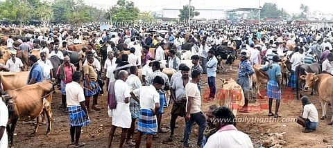 கருங்கல்பாளையம் சந்தையில் பசு மாடு ரூ.80 ஆயிரத்துக்கு விற்பனை