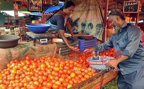 தக்காளி கிலோ ரூ.15-க்கு விற்பனை- அரசு கொள்முதல் செய்ய விவசாயிகள் வேண்டுகோள்