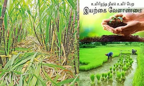 முழுவதுமாக இயற்கை விவசாயத்துக்கு திரும்புவது எப்போது?