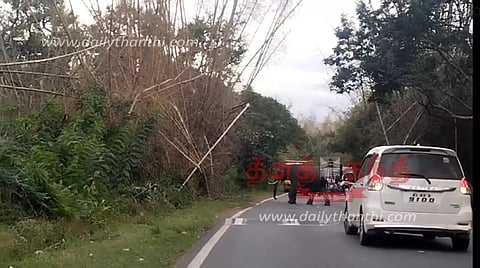 ஆசனூர் அருகே வாகனங்களை வழிமறித்த காட்டு யானை