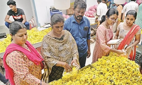 மல்லிகைப்பூ கிலோ ரூ.1200-க்கு விற்பனை