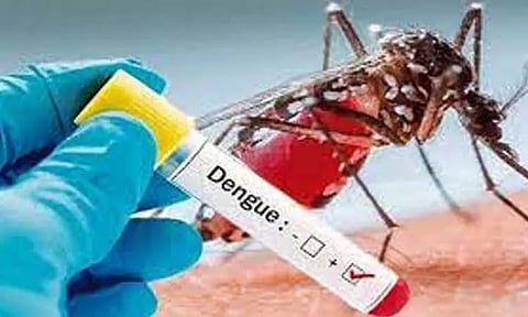 டெங்கு பாதிப்பு - கடலூர் மருத்துவமனையில் மேலும் 5 பேர் அனுமதி