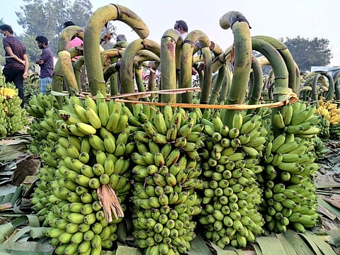பரமத்திவேலூரில் வாழைத்தார் விலை உயர்வு