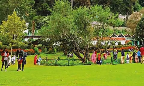 நிபா வைரஸ் பரவல் எதிரொலி: நீலகிரிக்கு சுற்றுலா பயணிகள் வருகை குறைந்தது