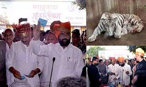 புலிக்குட்டிக்கு 'ஆதித்யா' பெயரை சூட்டாமல் தவிர்த்ததால் மராட்டிய எதிர்க்கட்சிகள் சாடல்