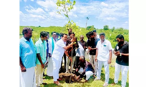 மரக்கன்று நடும் விழா